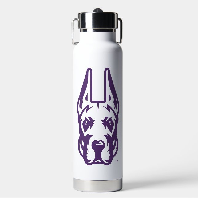 University at Albany Great Dane Mascot Head Water Bottle (Front)