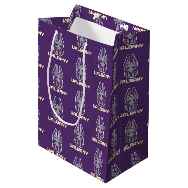 University at Albany Great Danes Medium Gift Bag (Front Angled)