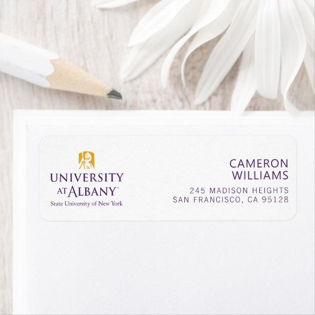 University at Albany Iconic Logo (Insitu)