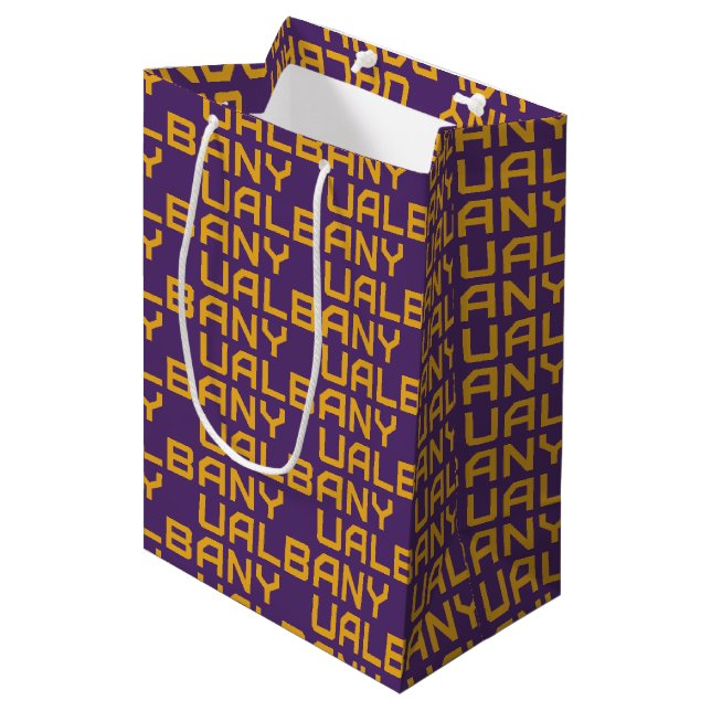 University at Albany Wordmark 2 Medium Gift Bag (Front Angled)