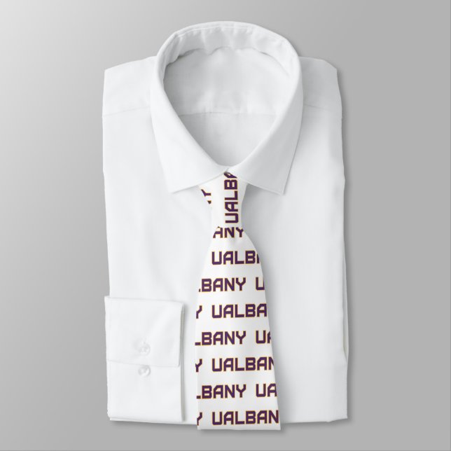 University at Albany Wordmark Tie (Tied)