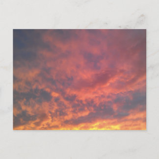 University City Postcard