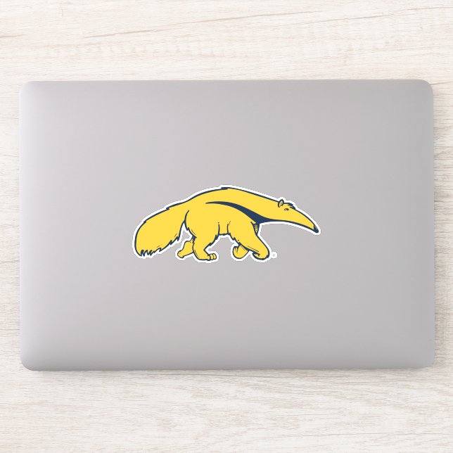 University of California, Irvine Anteater (Computer)