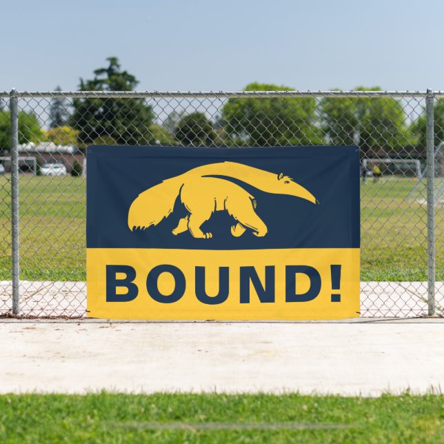 University of California, Irvine Anteater Banner (Insitu)