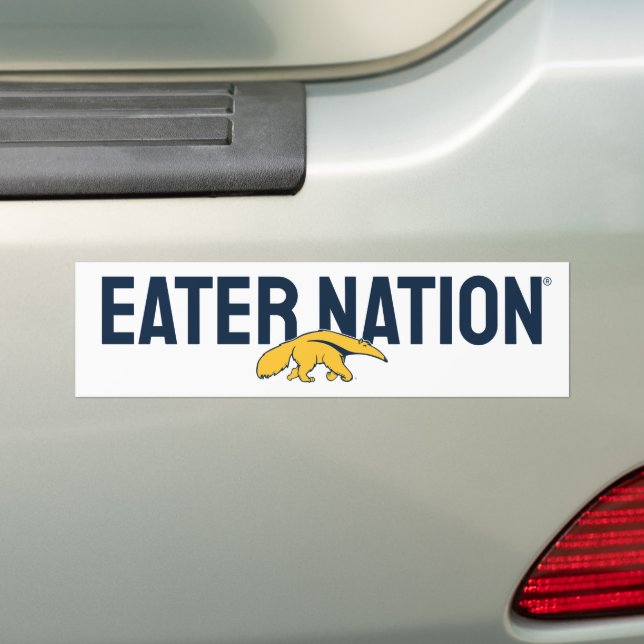 University of California, Irvine Anteater Bumper Sticker (On Car)