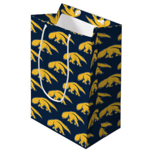 University of California, Irvine Anteater Medium Gift Bag