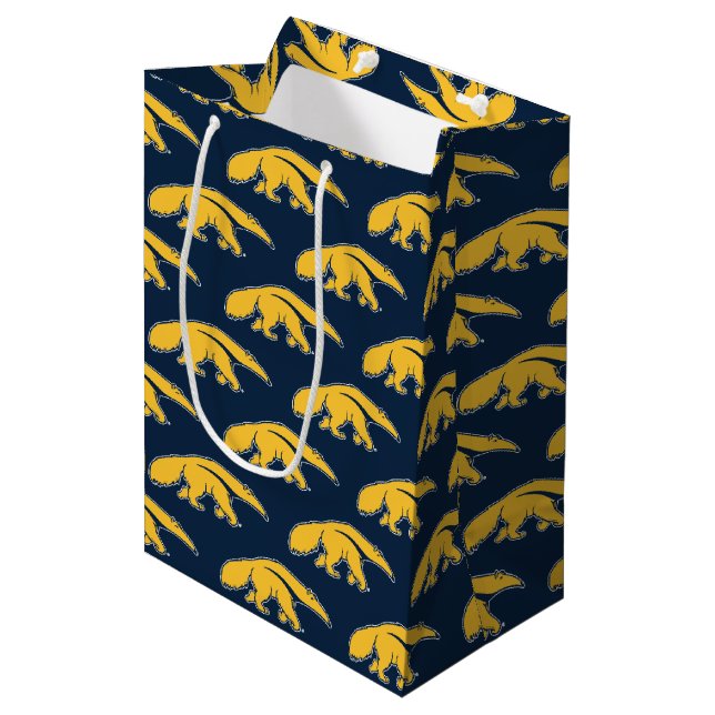 University of California, Irvine Anteater Medium Gift Bag (Front Angled)