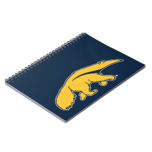 University of California, Irvine Anteater Notebook