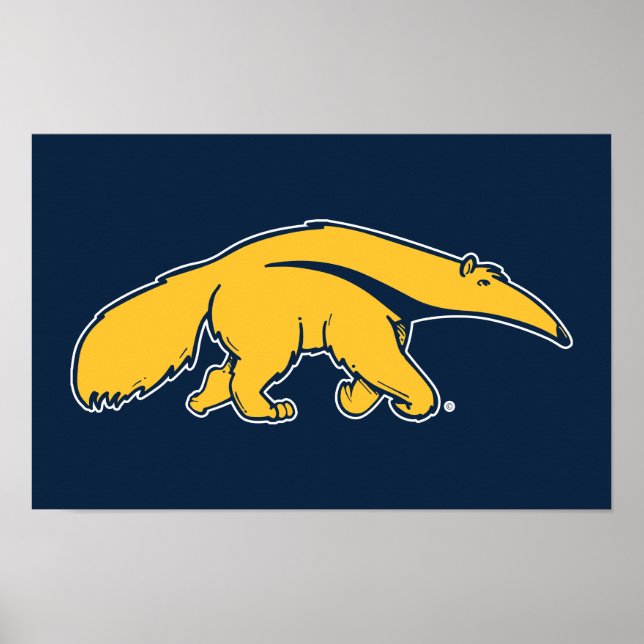 University of California, Irvine Anteater Poster (Front)