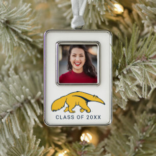 University of California, Irvine Anteater Silver Plated Framed Ornament