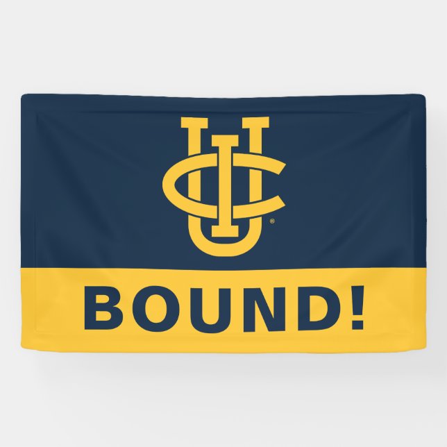 University of California, Irvine Logo Banner (Horizontal)