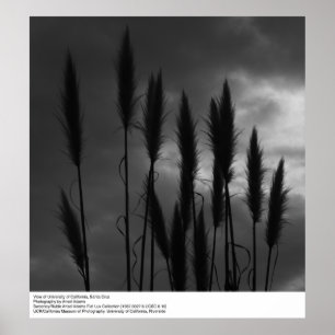 University of California, Santa Cruz, Ansel Adams Poster