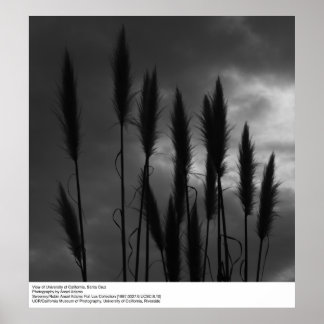 University of California, Santa Cruz, Ansel Adams Poster