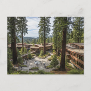 University of California, Santa Cruz Postcard