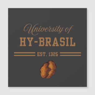 University of Hy-Brasil, Est. 1325