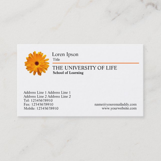 University of Life - Marigold, Orange Rule Business Card (Front)