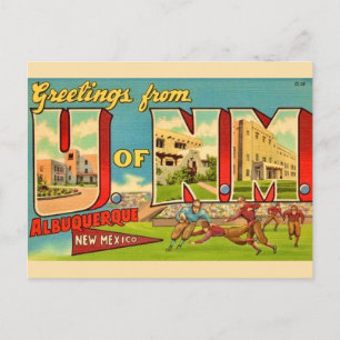 Universty of New Mexico Vintage Postcard