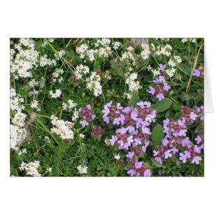 Unknown flowers