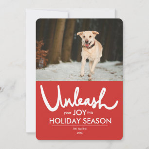 Unleash   Funny Dog Photo Holiday