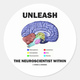 Unleash The Neuroscientist Within (Brain Anatomy) Classic Round Sticker