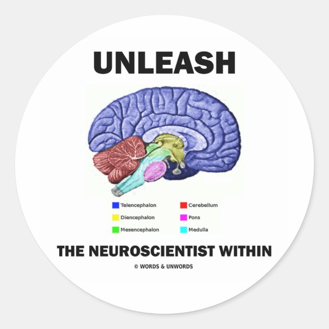 Unleash The Neuroscientist Within (Brain Anatomy) Classic Round Sticker (Front)