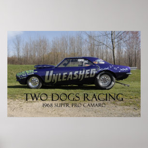 Unleashed Super Pro Drag Car Poster