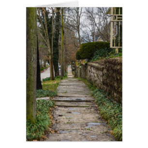Unlevel Pathway