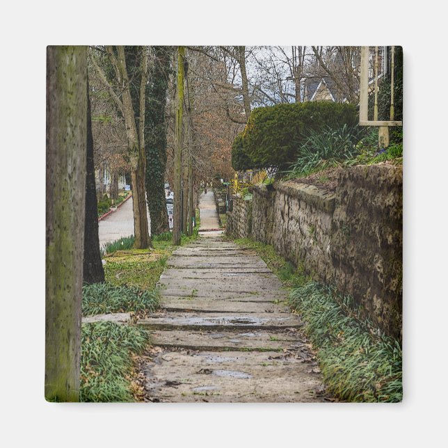 Unlevel Pathway Magnet (Front)