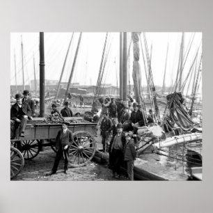 Unloading Oysters Poster