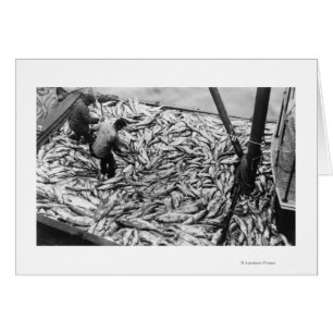Unloading Salmon from Fishing Boats Photograph