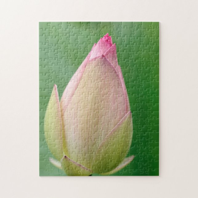 Unopened Water Lily Bulb, Durban Botanical Jigsaw Puzzle (Vertical)