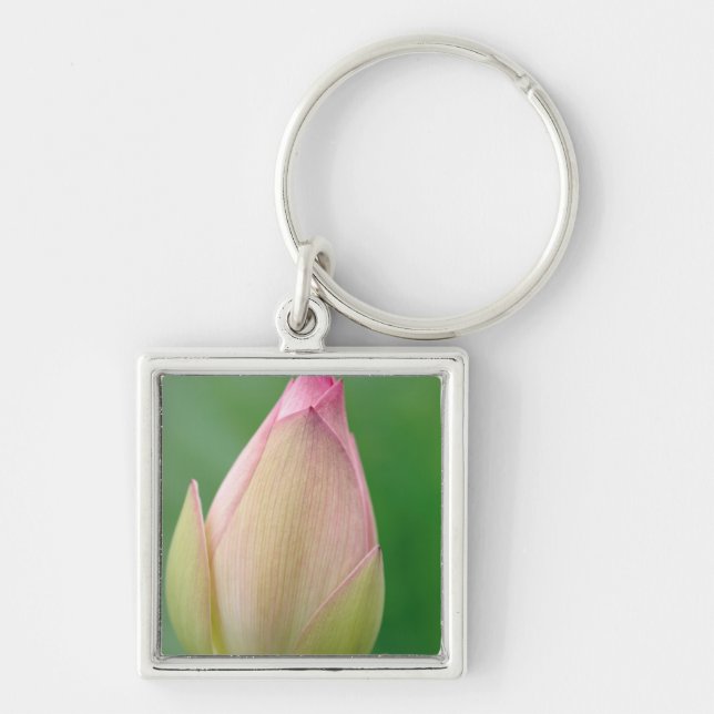 Unopened Water Lily Bulb, Durban Botanical Key Ring (Front)
