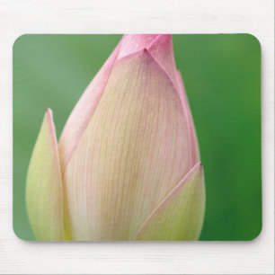 Unopened Water Lily Bulb, Durban Botanical Mouse Mat