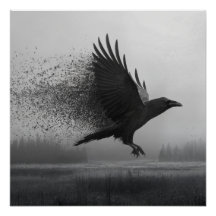 Unraveling - Raven in the Mist