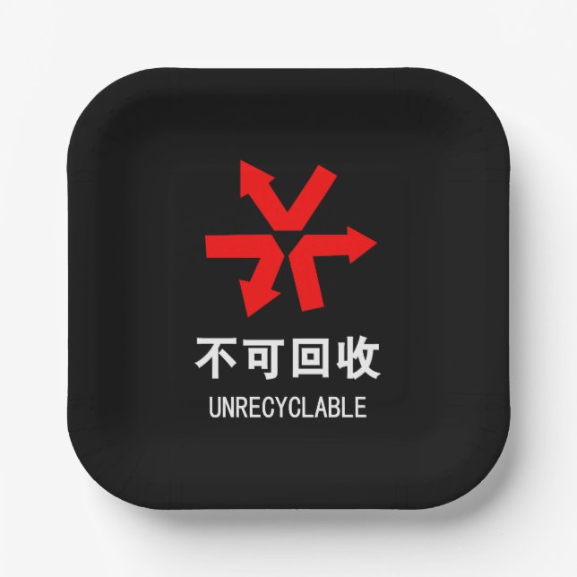 Unrecyclable ~ Chinese Language Hanzi Sign Paper Plate (Front)
