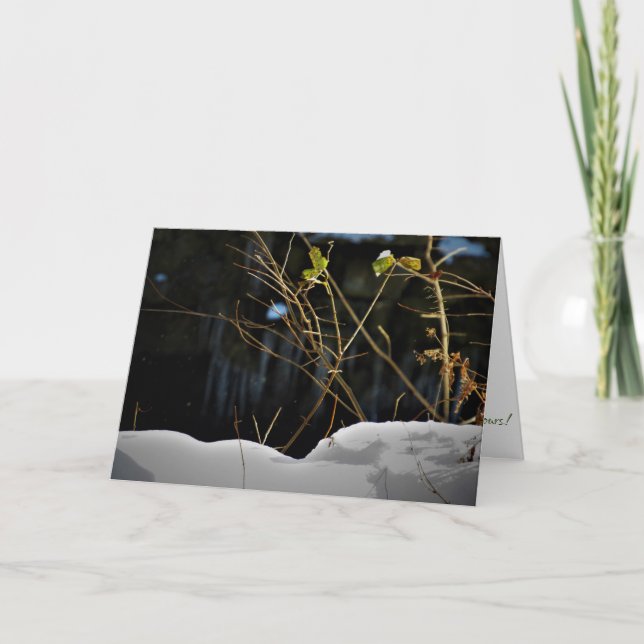 "Unseen Minnesnowta" Christmas Card (Front)