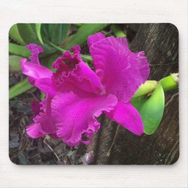 Untamed Beauty Mousepad (Front)
