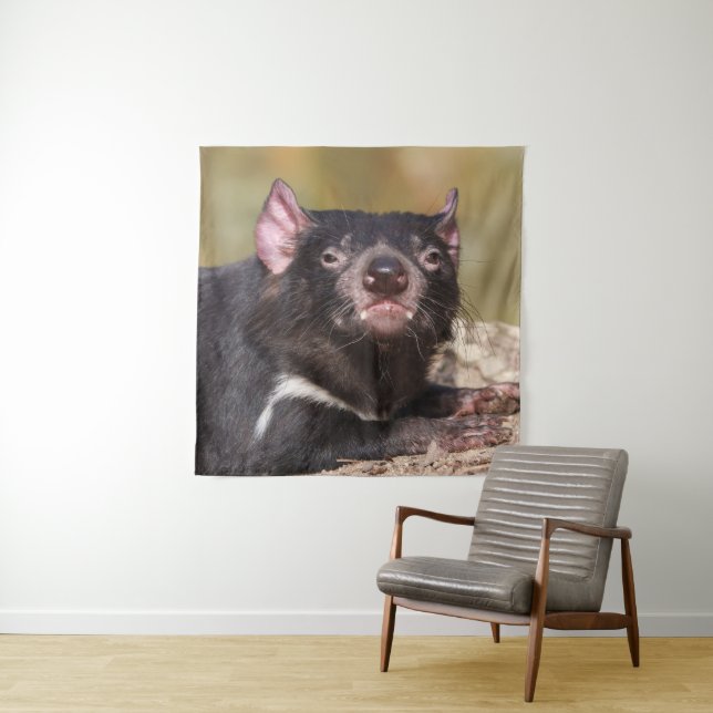 Untamed Spirit Tasmanian Devil Tapestry (In Situ)