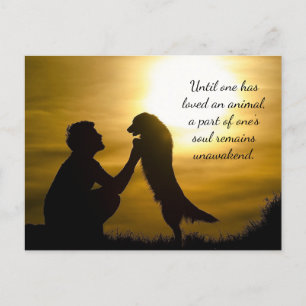 Until One Has Loved An Animal Holiday Postcard