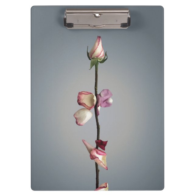 Until the last petal... clipboard (Front)