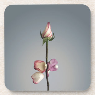 Until the last petal... coaster