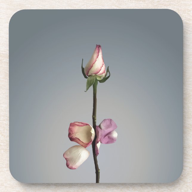 Until the last petal... coaster (Front)