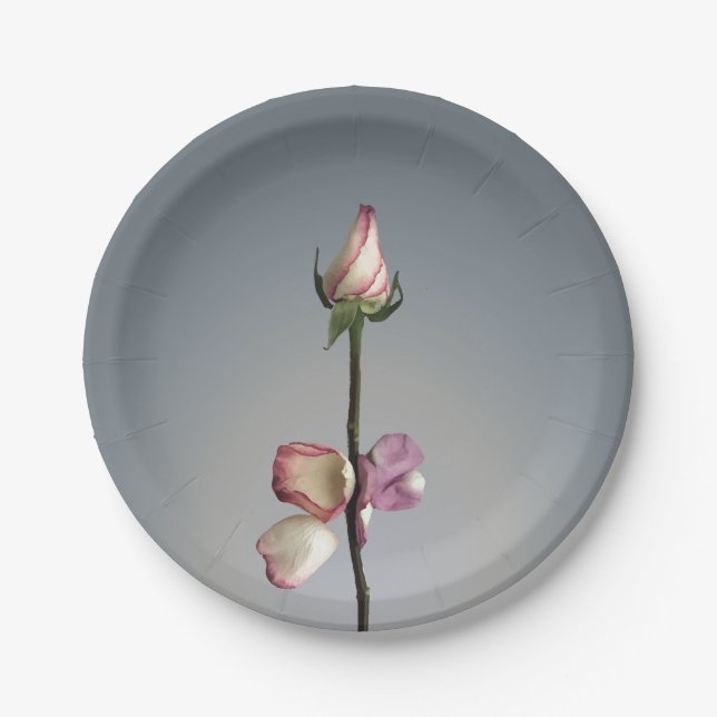 Until the last petal... paper plate (Front)
