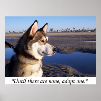 Until there are none, adopt one poster