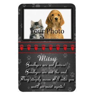 Until we meet again Memorial for Cat or Dog Magnet