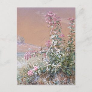 Untitled   Fidelia Bridges Postcard