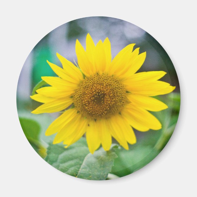 Untitled Magnet (Front)