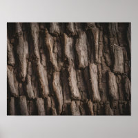 Untreated Natural Tree Bark Texture