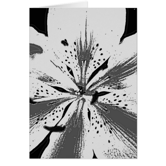 unusual black and white abstract lily flower (Front)