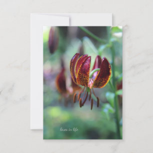 Unusual Tiger Lily Card